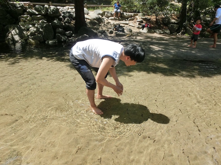 優勝美地 美國舊金山國家公園