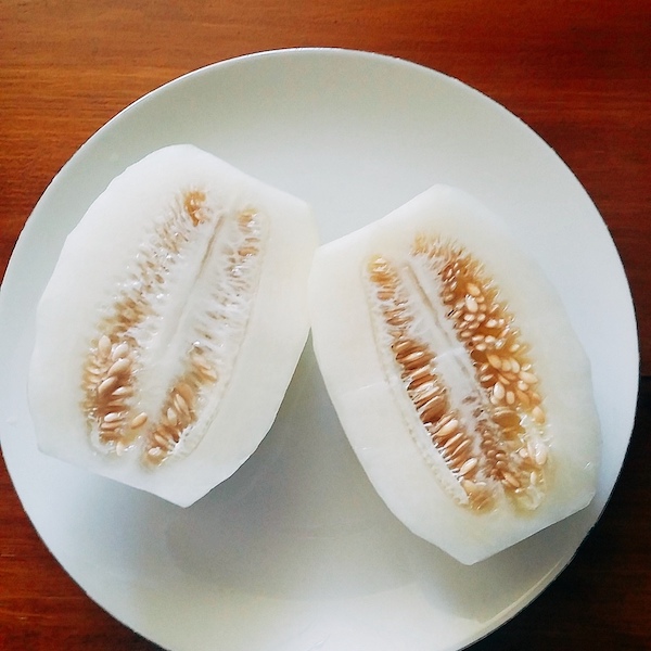 韓國香瓜 korean melon