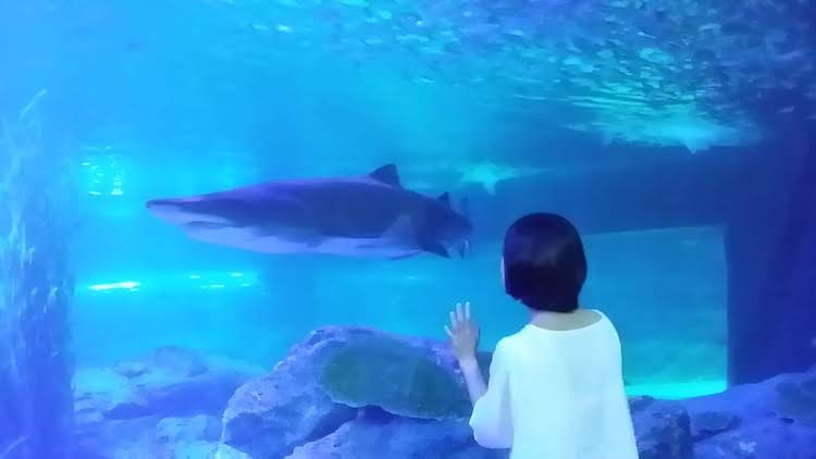 SEA LIFE 釜山水族館